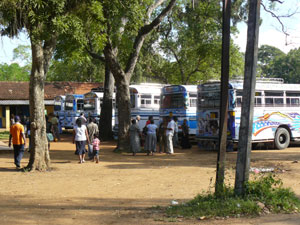 Madhu Church 2012 Jan