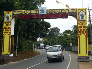 75th Jubilee Thorn